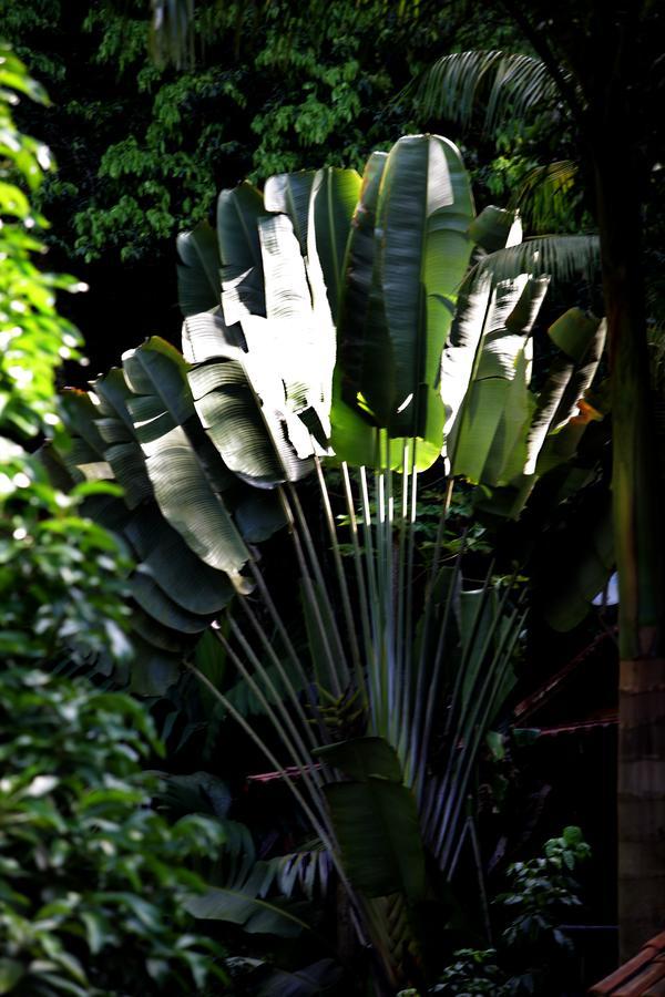 Casa de Penedo Villa Exterior foto